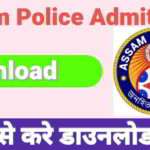 Rajsthan CET Admit Card 2024